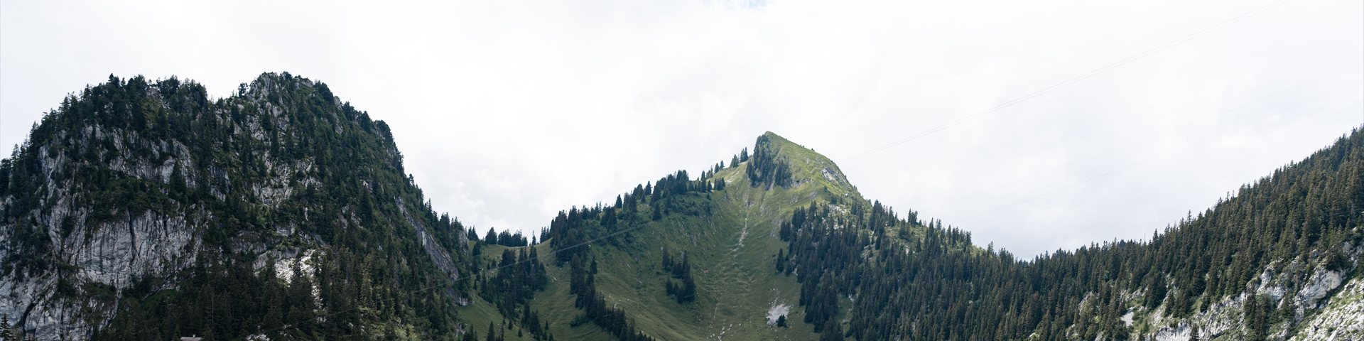 张家界壹路湘行旅游服务有限公司驻马店第一网点