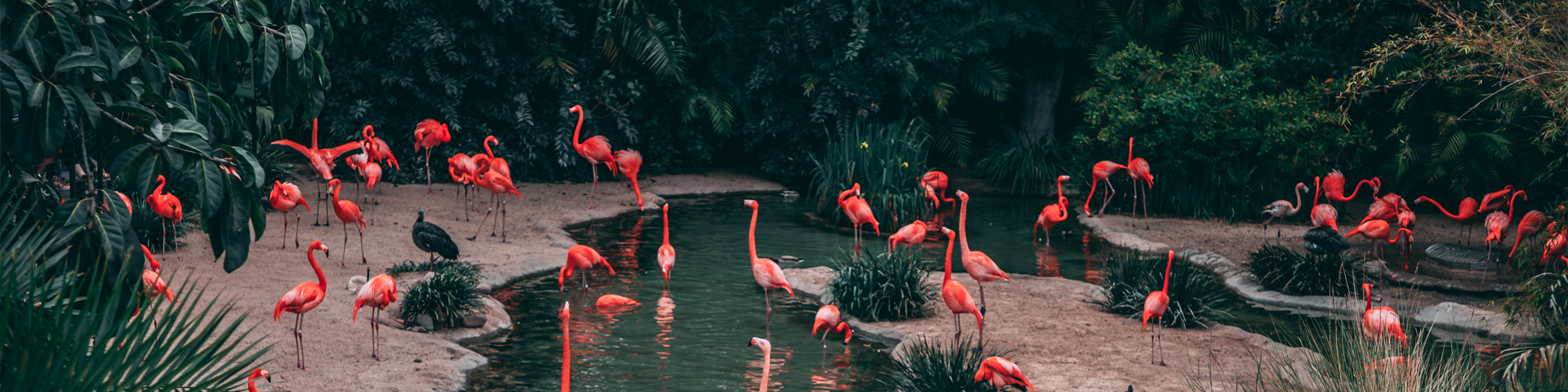 张家界壹路湘行旅游服务有限公司驻马店第一网点